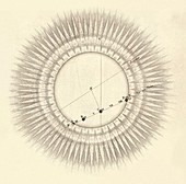 Transit of Venus,1761