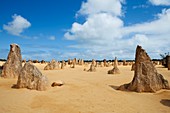 Pinnacles desert,Australia