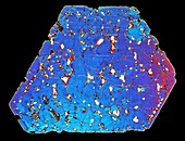 Pyroxene augite,polarised LM