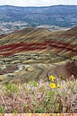 Painted Hills,John Day Fossil Beds