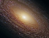 Spiral galaxy NGC 2841,HST image