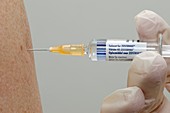 Zostavax anti-shingles vaccination