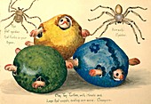 Toy turtles and spiders,20th century