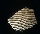 Fossilised ripple marks