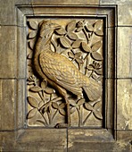 Natural History Museum decorative panel