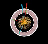 Higgs boson research,ATLAS detector