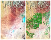 Agriculture,Saudi Arabia,1987-2012