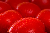 Close-up tomatoes