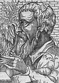 Dioscorides,Ancient Greek physician