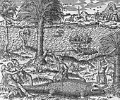 Nile crocodile hunting,16th century