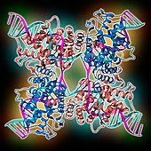 Enzyme catalysing DNA recombination