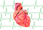 Irregular heart beat,conceptual image