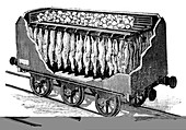 Refrigerated meat railway carriage,1890