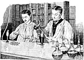 Pasteur Institute vaccine research,1890