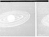 Jupiter and its moons,1893