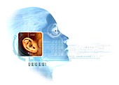 Ear biometrics,artwork