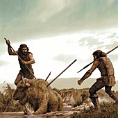 Prehistoric humans hunting,artwork
