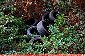 Dumped tyres