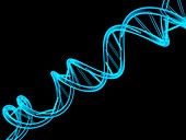 DNA molecule,artwork