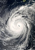 Hurricane Norbert,2008