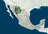 Chihuahua,Mexico,satellite image