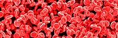 Red blood cells,SEM