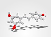 Resveratrol molecule