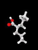 Valproic acid anticonvulsant molecule