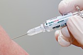 TicoVac tick-bourne encephalitis vaccine