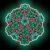 Cytoplasmic polyhedrosis virus capsid