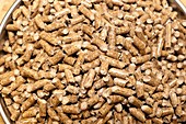 Wood pellet production