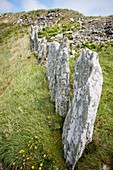 Neolithic boundary stones