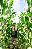 Young boy hiding in a corn field