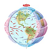 Global winds,rotating model