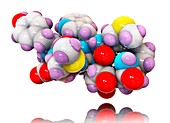 Cholecystokinin-8 molecule