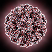 Brome mosaic virus capsid