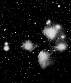 Pleiades open star cluster,19th century