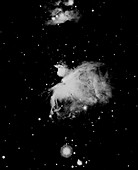 Orion Nebula,19th century