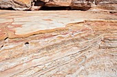 Broome sandstone,Western Australia