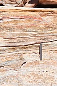 Broome sandstone,Western Australia