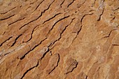 Fossilized ripples,Western Australia