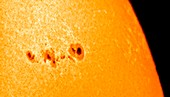 Sunspots,optical image