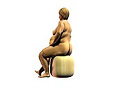 Obese woman,artwork