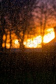 Rain drops on a window at sunrise