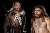 Cro-Magnon and Neanderthal models