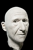 Cro-Magnon model head