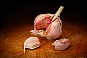 Garlic,artwork
