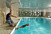 Swimming pool safety testing
