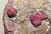 Grossular crystals in host rock