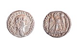 Roman Domitianus coin
